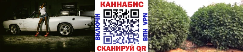 Бошки Шишки Amnesia Сосногорск